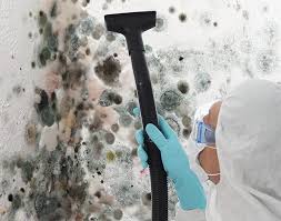 Forensic Mold Investigation in Zillah, WA